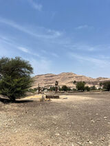 Foto utilizatorului FazikuPiotr