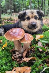 Zdjęcie użytkownika Para36Wwa