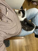 Zdjęcie użytkownika Djtomek