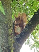 Zdjęcie użytkownika Marcinion