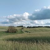 Benutzerfoto wentylus31