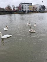 Zdjęcie użytkownika hutena9