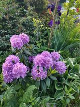 Foto pengguna irminapaszkowska