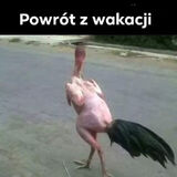 Zdjęcie użytkownika tojaludwik