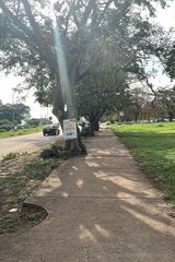 Foto pengguna In717423