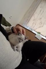 Foto pengguna marekkalinowski148