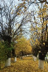 Zdjęcie użytkownika didooo