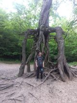 Benutzerfoto EndrjuA