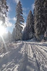 Foto pengguna dariuszrazny