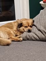 Zdjęcie użytkownika konreks24