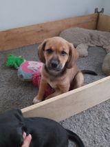 Foto pengguna Pioter0011