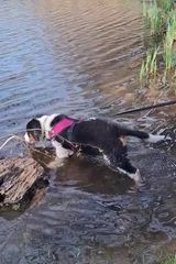 Foto pengguna matteusz95