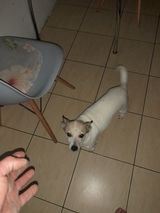 Zdjęcie użytkownika matinarloch3