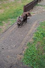 Zdjęcie użytkownika dawidblaszczuk41