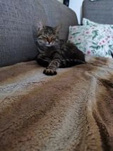 Фотография пользователя ZumKacper