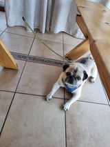 Foto pengguna Andibob