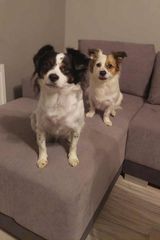 Foto pengguna marcinmoskwa060744