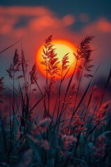 Фото користувача DagmaraBr