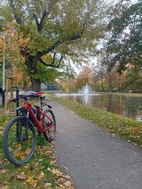 Benutzerfoto andrzejmachon154