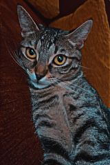 Foto pengguna dawideczek7991