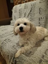 Zdjęcie użytkownika Daka1990