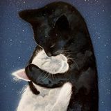 Zdjęcie użytkownika goodheart19