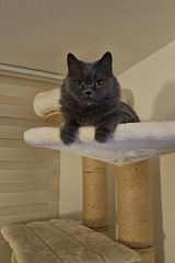 Foto pengguna zkamraj