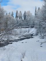 Foto pengguna Zibi153