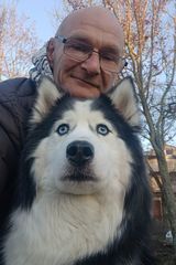 Zdjęcie użytkownika anderssonmikael87