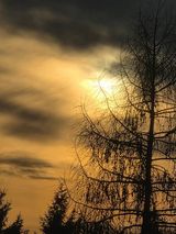 Foto pengguna janusz212121