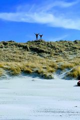 Foto pengguna KamilAdam86