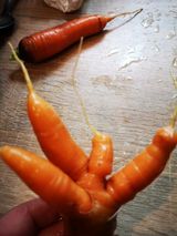 Zdjęcie użytkownika pierwszydzienj