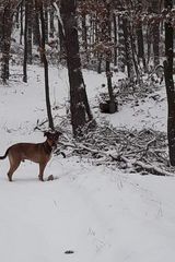 Zdjęcie użytkownika Takeshi91