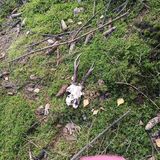 Zdjęcie użytkownika Ketama87