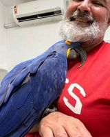 Foto pengguna dolandjtommy