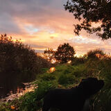 Zdjęcie użytkownika xmartinx