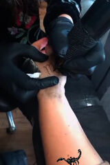 Foto pengguna Ppaulusia