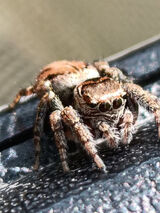 Foto pengguna karolus26081995