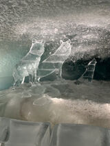 Zdjęcie użytkownika LikaszK