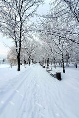 Foto pengguna Karolinaa36