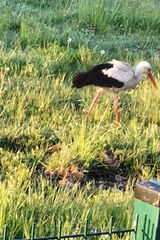 Foto pengguna Seledynek