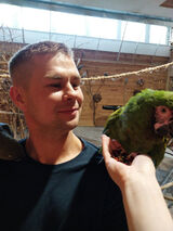 Benutzerfoto biczyksebastian01