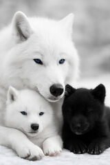 Zdjęcie użytkownika HarleyQuinn69