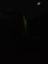 Foto pengguna Widmo95