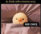 Zdjęcie użytkownika fifi11980