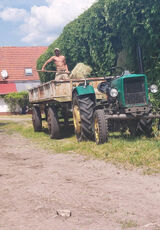 Foto pengguna stachu854