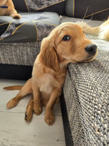 Zdjęcie użytkownika Angeles09