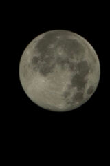 Zdjęcie użytkownika esc123