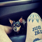 Foto pengguna BialyPan