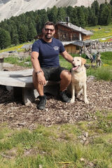 Foto pengguna DobryWilk90